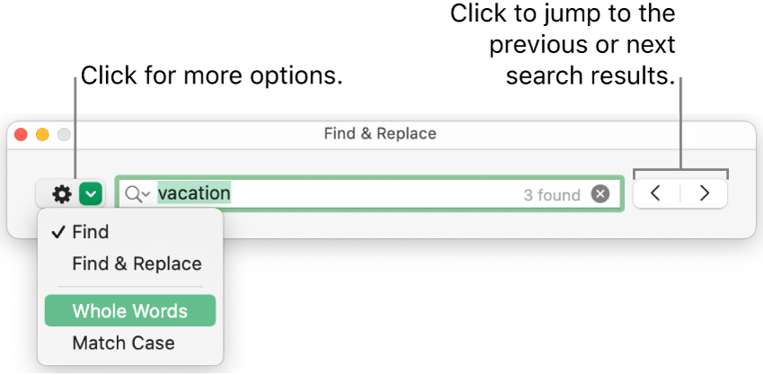 The Find & Replace window with the pop-up menu showing options for Find, Find & Replace, Whole Words and Match Case. The arrows on the right let you jump to the previous or next search results.