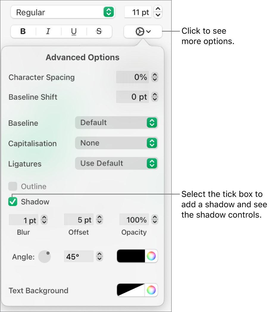 The More Text Options menu open with the Shadows tick box selected and controls for setting blur, offset, opacity, angle and colour.