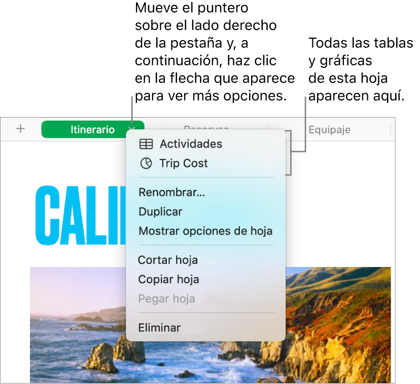 Una pestaña de hoja de cálculo con el menú de función rápida abierto, donde se muestran opciones como Duplicar.