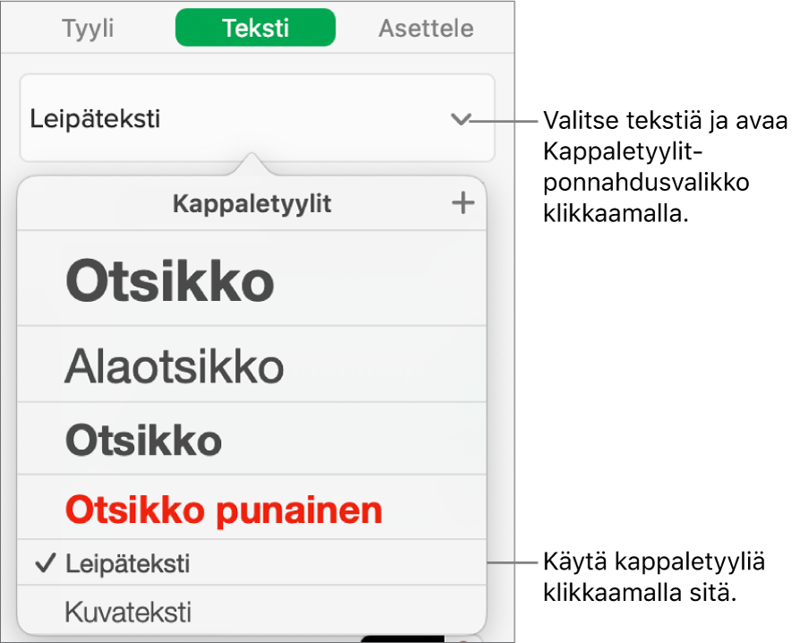 Kappaletyylit-valikko, jossa on valintamerkki valitun tyylin vieressä.