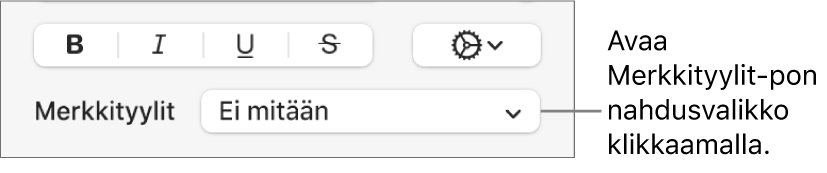Merkkityylit-ponnahdusvalikko tekstin tyylin ja värin muuttamisen säätimien alla.