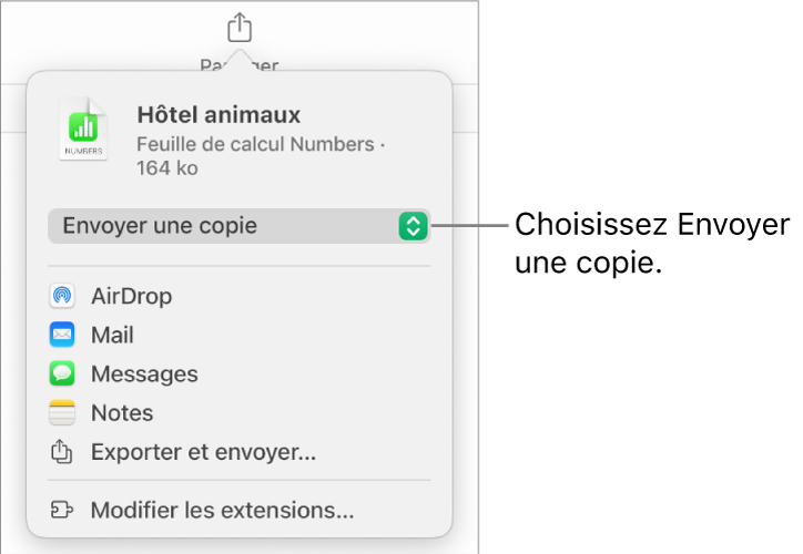 Le menu Partager avec l’option Envoyer une copie sélectionnée dans le haut.
