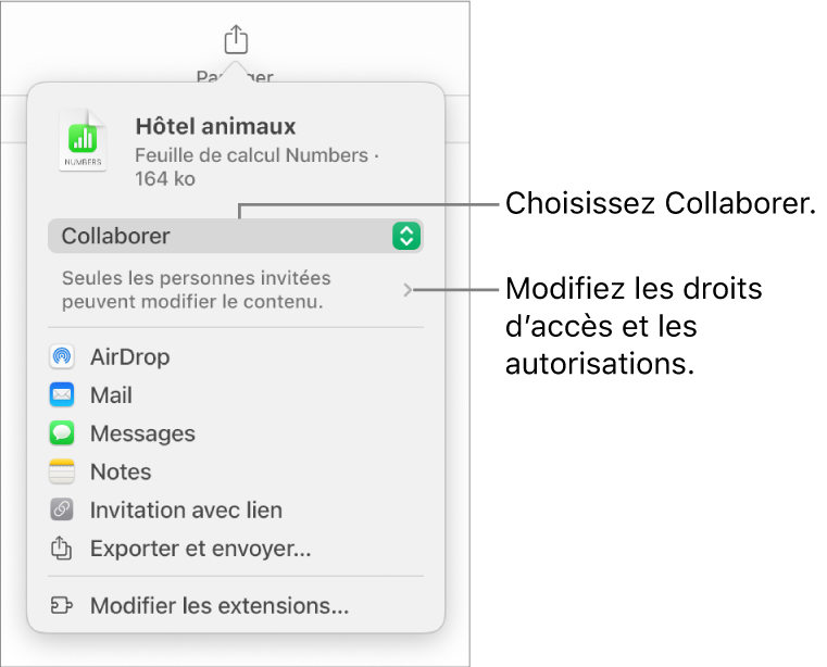 Le menu Partager avec l’option Collaborer sélectionnée dans le haut, au-dessus des réglages d’accès et d’autorisation.