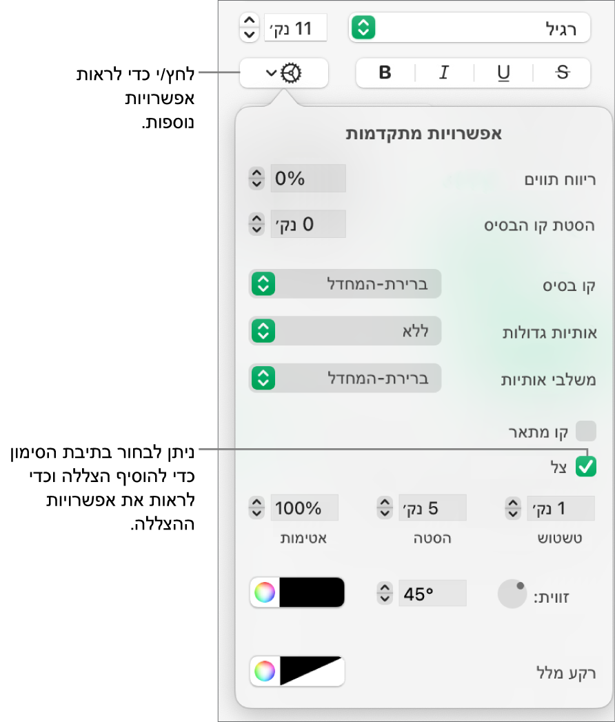 התפריט ״אפשרויות מלל נוספות״ פתוח, כאשר תיבת הסימון ״צללים״ נבחרת ומוצגים כלי בקרה להגדרת טשטוש, היסט, אטימות, זווית וצבע.