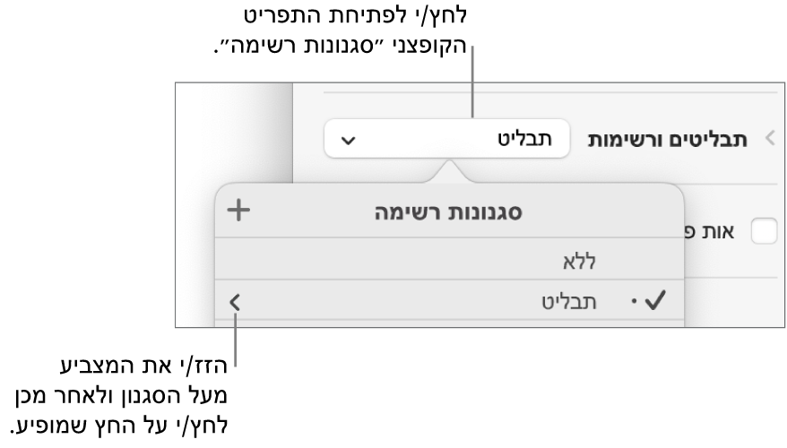 התפריט הקופצני ״סגנונות רשימה״ עם סגנון אחד נבחר וחץ בקצה הימני שלו.