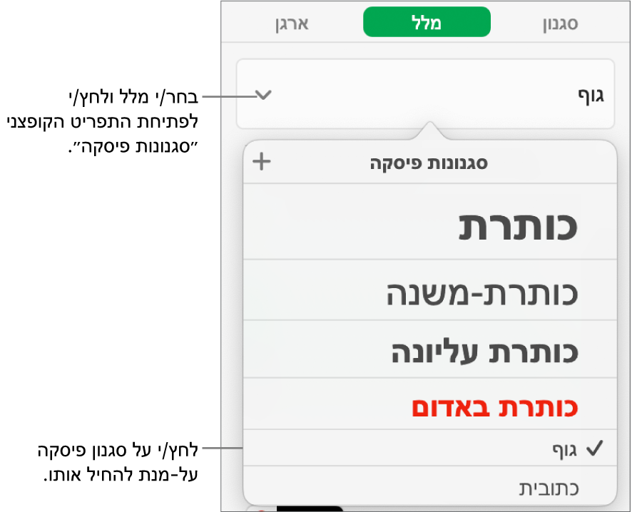 התפריט ״סגנונות פיסקה״ עם סימן ביקורת ליד הסגנון הנבחר.
