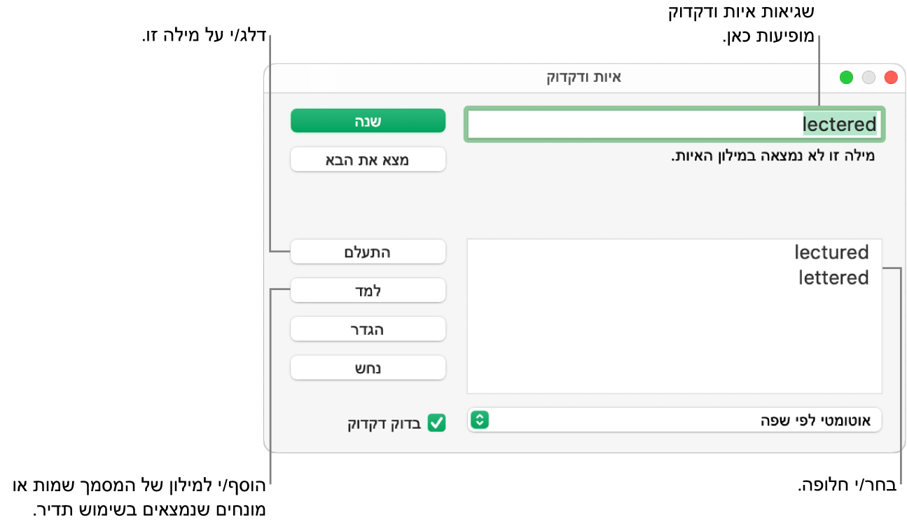 החלון ״איות ודקדוק״.