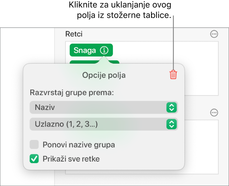 Izbornik Opcije polja prikazuje naredbe za grupiranje i razvrstavanje podataka, kao i opcije za uklanjanje polja.