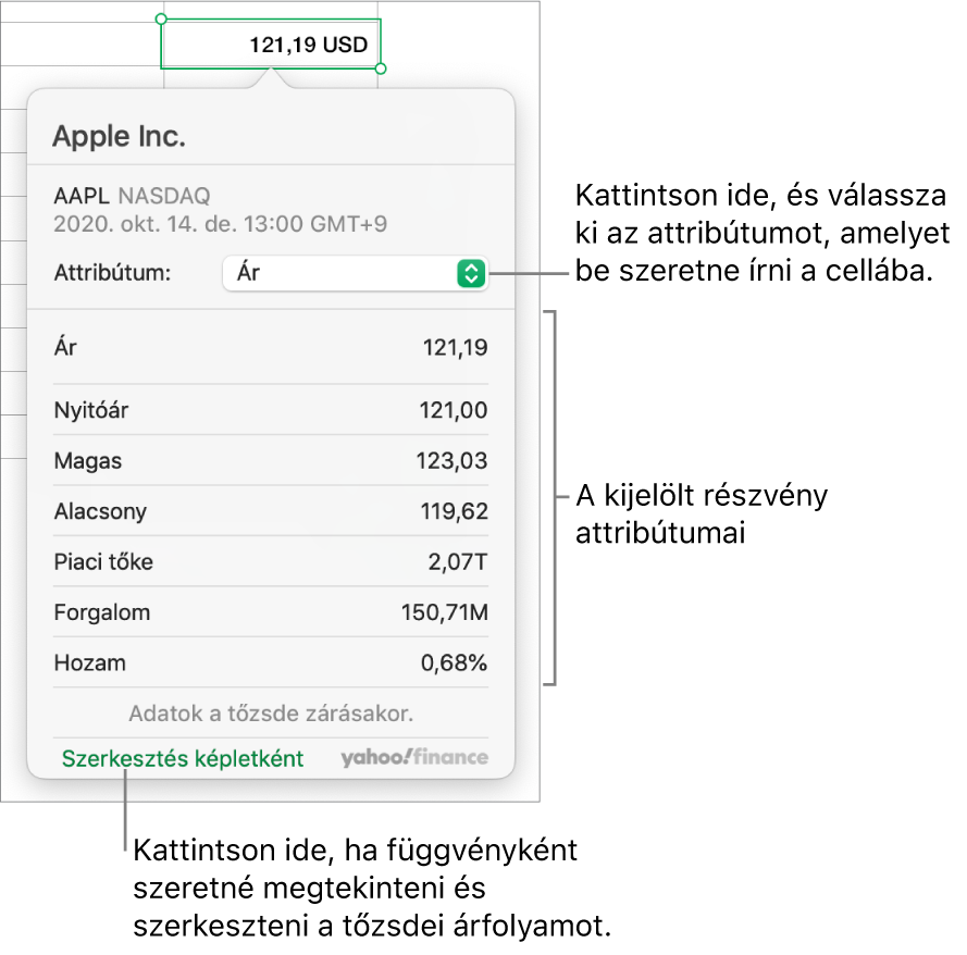 A részvényattribútumokra vonatkozó információk megadására szolgáló párbeszédpanel, amelyen az Apple részvény van kijelölve.