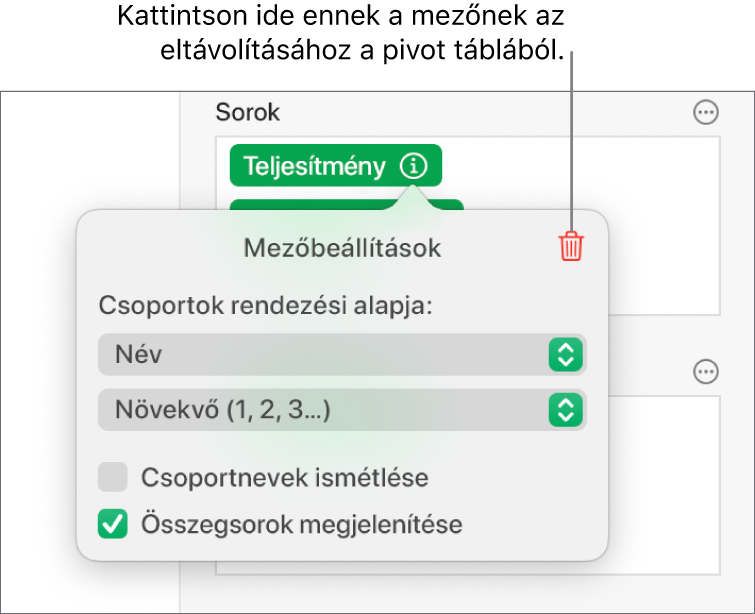 A Mezőbeállítások menü az adatok csoportosítására és rendezésére szolgáló vezérlőkkel, illetve a mező eltávolítására szolgáló lehetőséggel.