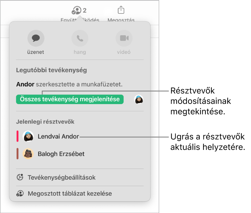 Az együttműködési menü két jelenlegi résztvevővel.