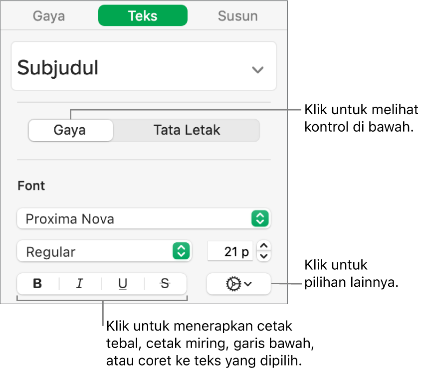 Kontrol Gaya di bar samping dengan keterangan pada tombol Tebal, Miring, Garis Bawah, dan Coret.