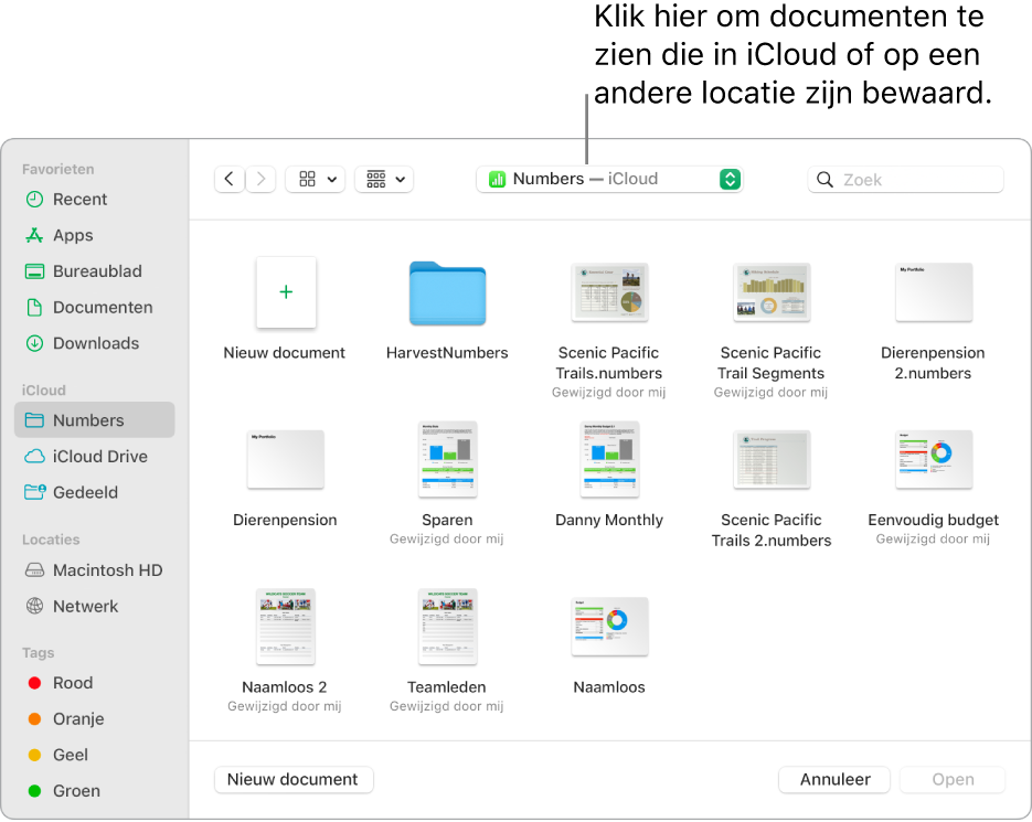 Het dialoogvenster 'Open' waarin de navigatiekolom aan de linkerkant is geopend en waarin in het pop‑upmenu bovenin 'iCloud Drive' is geselecteerd. In het dialoogvenster staan mappen voor Keynote, Numbers en Pages en de knop 'Nieuw document'.