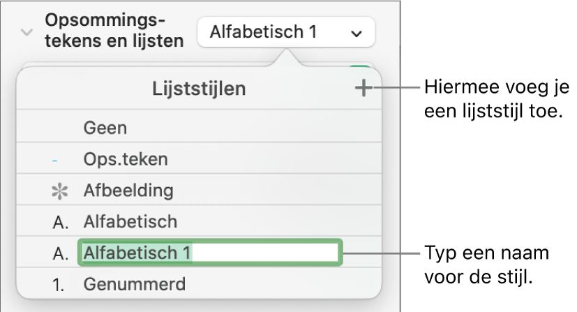 Het pop‑upmenu 'Lijststijlen' met een plusknop in de rechterbovenhoek en een tijdelijke stijlnaam waarvan de tekst geselecteerd is.