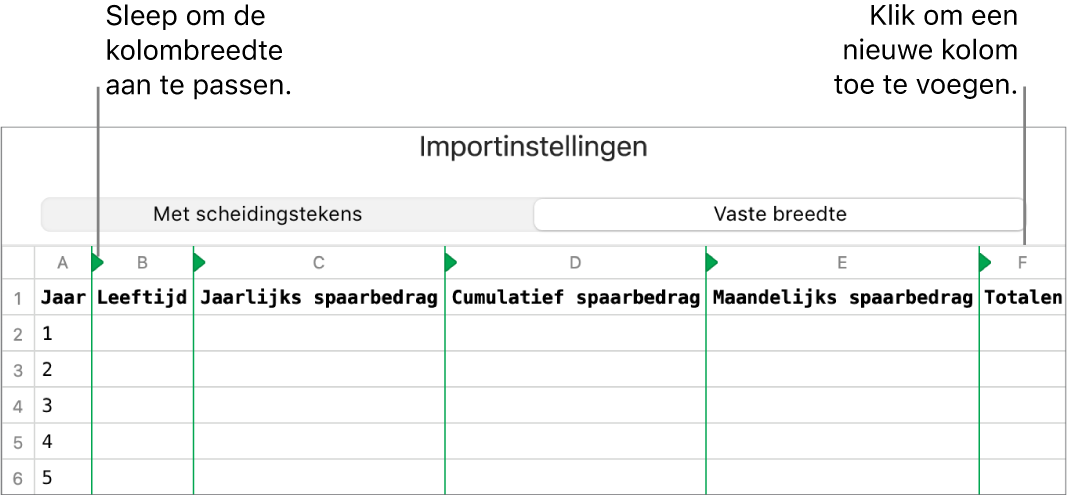 De importinstellingen voor een tekstbestand met vaste breedte.