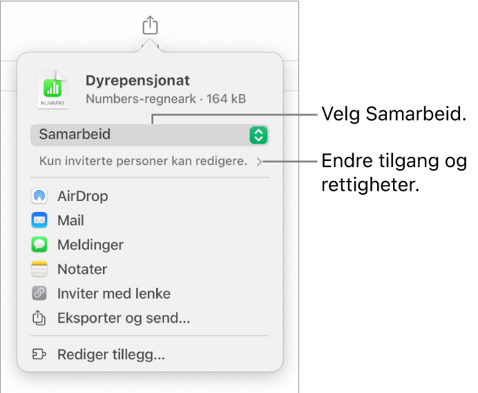 Del-menyen med Samarbeid markert øverst, og tilgangs- og tillatelsesinnstillingene under.