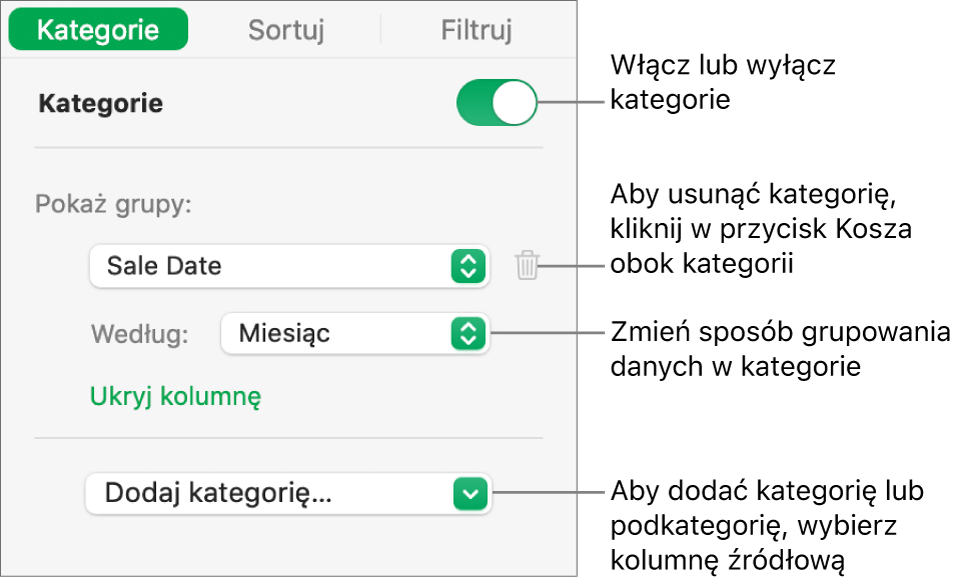 Pasek boczny kategorii z opcjami wyłączania lub usuwania kategorii, przegrupowywania danych, ukrywania kolumny źródłowej oraz dodawania kategorii.