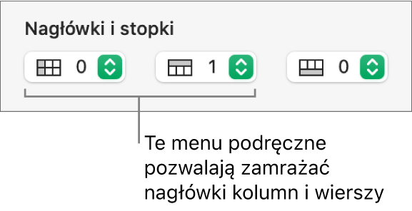 Menu podręczne pozwalające na dodawanie do tabeli kolumn i wierszy nagłówka i stopki oraz na zamrażanie wierszy i kolumn.