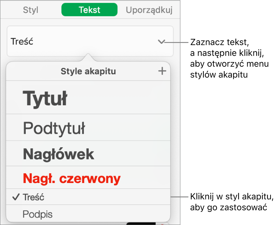 Menu Style akapitu z ikoną zaznaczenia obok zaznaczonego stylu.