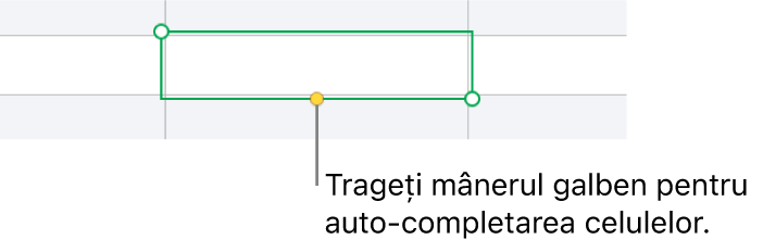 O celulă selectată cu un mâner galben pe care îl puteți trage pentru completarea automată a celulelor.