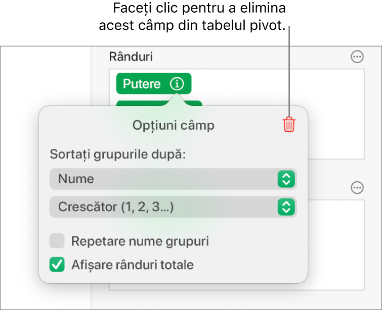 Meniul Opțiuni câmp afișând comenzile pentru gruparea și sortarea datelor și opțiunea de eliminare a unui câmp.