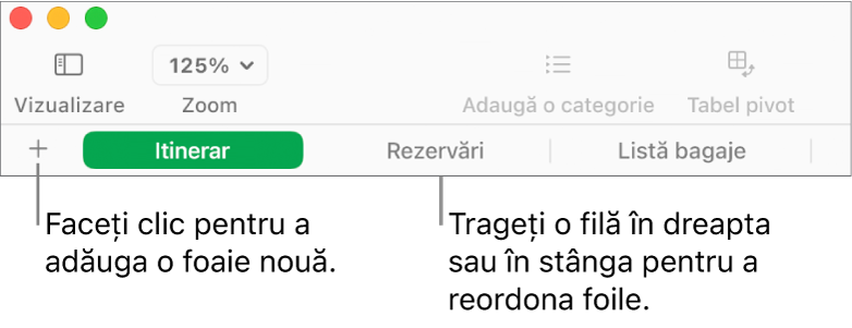 Bara cu file pentru adăugarea unei foi noi și reorganizarea foilor.