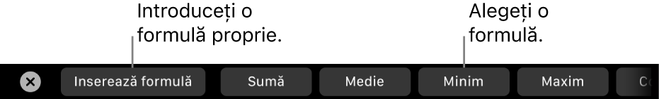 Bara Touch Bar de pe MacBook Pro cu comenzi pentru inserarea unei formule proprii și alegerea unei formule utilizate în mod obișnuit.