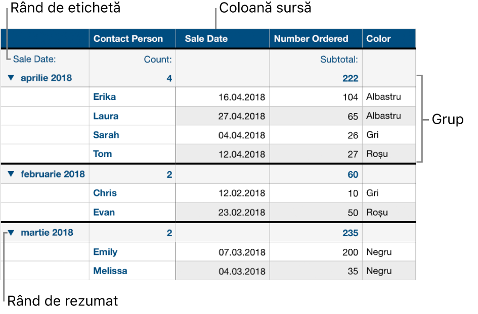 Un tabel categorisit afișând coloana sursă, grupurile, rândul rezumat și rândul de etichete