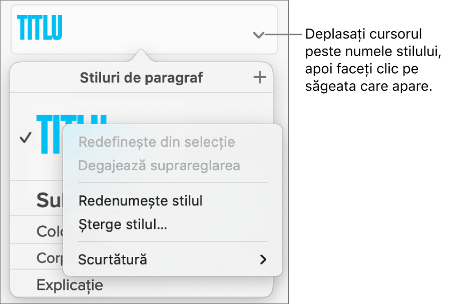 Meniul Stiluri de paragraf cu meniul de scurtături deschis.