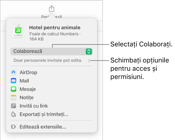 Meniul Partajați, cu opțiunea Colaborați selectată în partea de sus și configurările de acces și permisiune dedesubt.