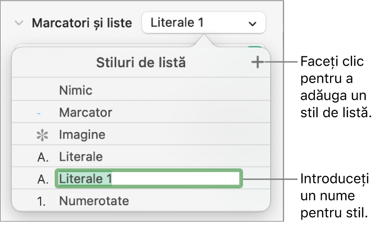 Meniul pop-up Stiluri de listă, cu un buton Adaugă în colțul din dreapta sus și un nume de stil substituent cu textul aferent selectat.