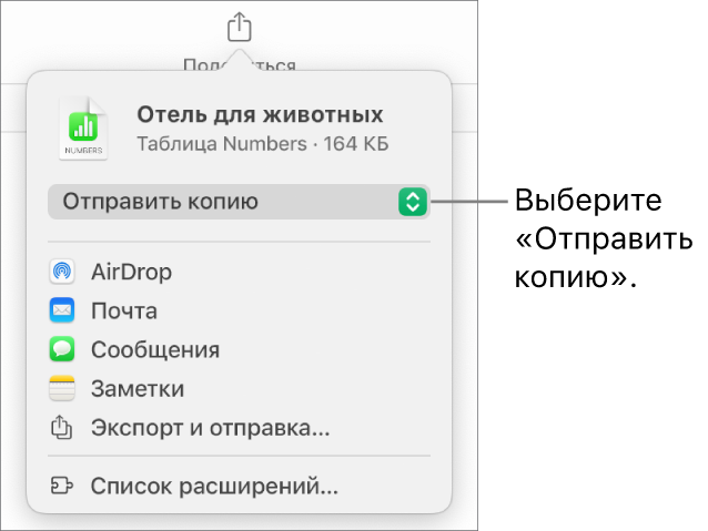 В верхней части меню «Поделиться» выбран параметр «Отправить копию».