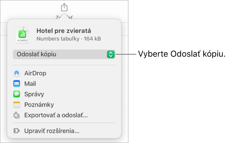 Menu Zdieľať s vybranou možnosťou Odoslať kópiu vo vrchnej časti.