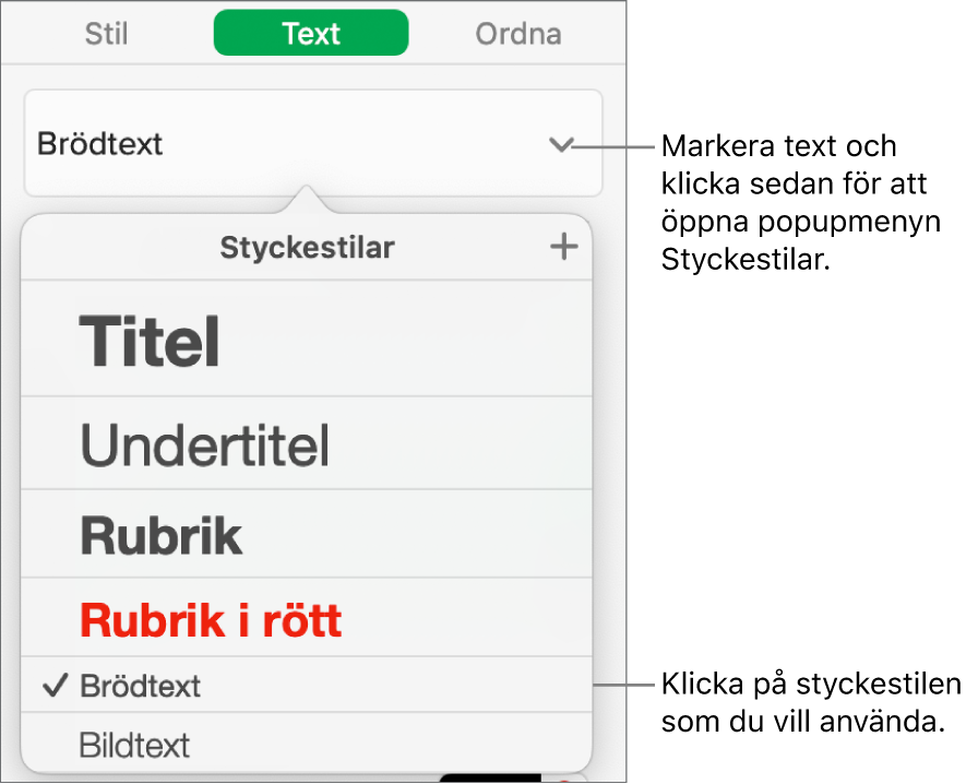 Menyn Styckestilar med en bockmarkering bredvid den valda stilen.