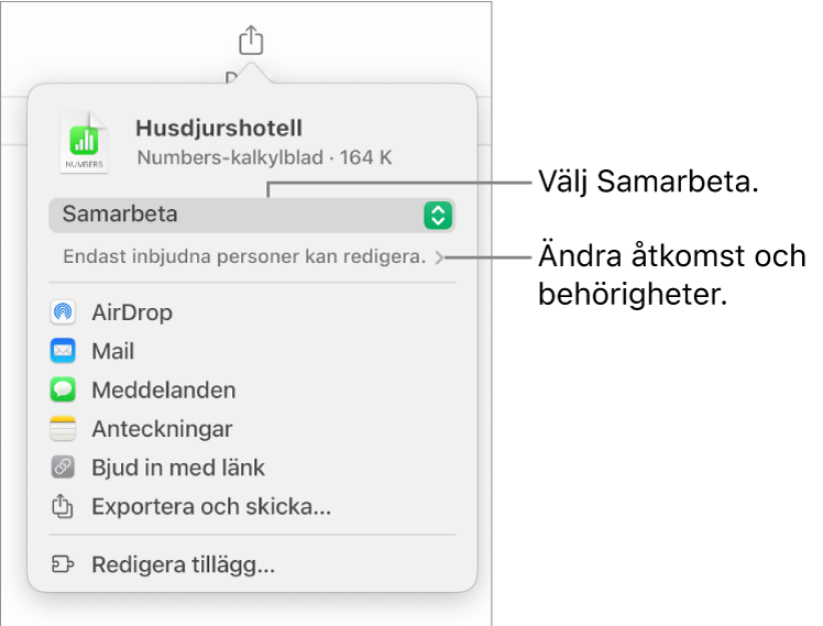 Delningsmenyn med Samarbeta markerat högst upp och tillgångs- och behörighetsinställningar under.