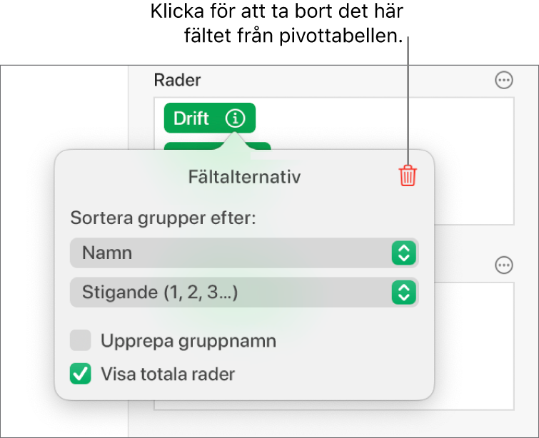 Menyn Fältalternativ visar reglage för att gruppera och sortera data samt alternativet att ta bort ett fält.