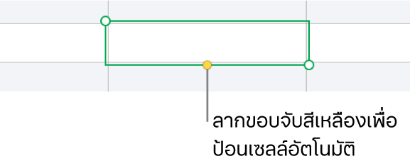 เซลล์ที่เลือกที่มีขอบจับสีเหลือง ซึ่งคุณสามารถลากเพื่อป้อนเซลล์อัตโนมัติได้