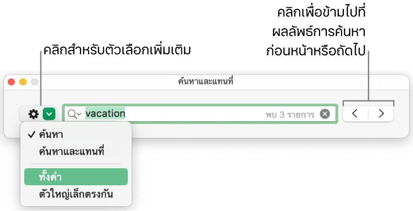 หน้าต่างค้นหาและแทนที่พร้อมเมนูที่แสดงขึ้นที่แสดงตัวเลือกสำหรับค้นหา ค้นหาและแทนที่ ทั้งคำ และตัวใหญ่เล็กตรงกัน ลูกศรด้านขวาทำให้คุณสามารถข้ามไปที่ผลการค้นหาก่อนหน้าหรือถัดไปได้