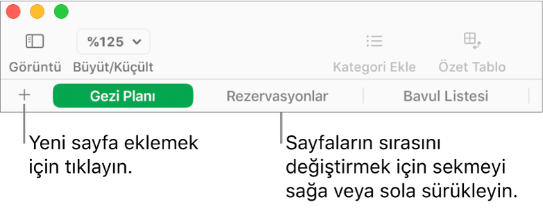 Yeni sayfa ekleme ve sayfaları yeniden düzenleme için sekme çubuğu.