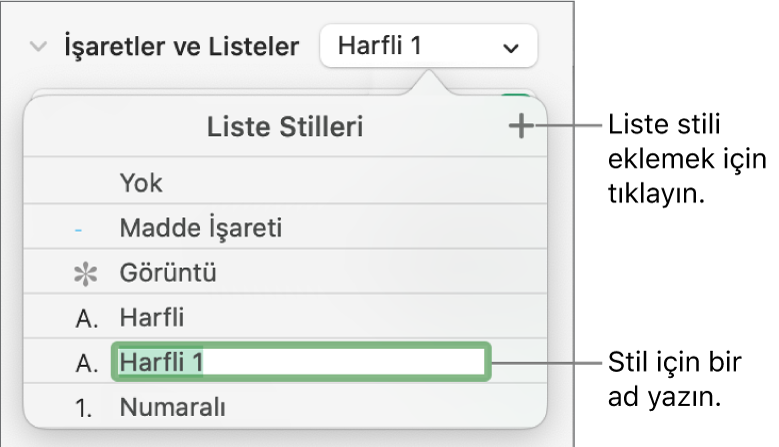 Sağ üst köşede Ekle düğmesi olan Liste Stilleri açılır menüsü ve metni seçili olan yer tutucu stili adı.