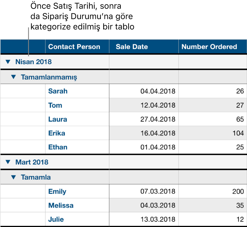 Sipariş durumu alt kategori olmak üzere verilerin satış tarihine göre kategoriye ayrıldığı bir tablo.