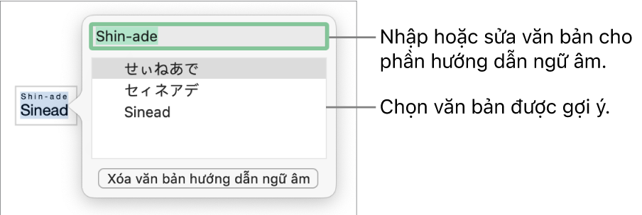Phiên âm sẽ mở cho một từ, với các lời nhắc đến trường văn bản và văn bản được gợi ý.
