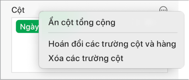 Menu Tùy chọn trường khác, đang hiển thị các điều khiển để ẩn tổng lớn, hoán đổi các trường hàng và cột và xóa các trường.