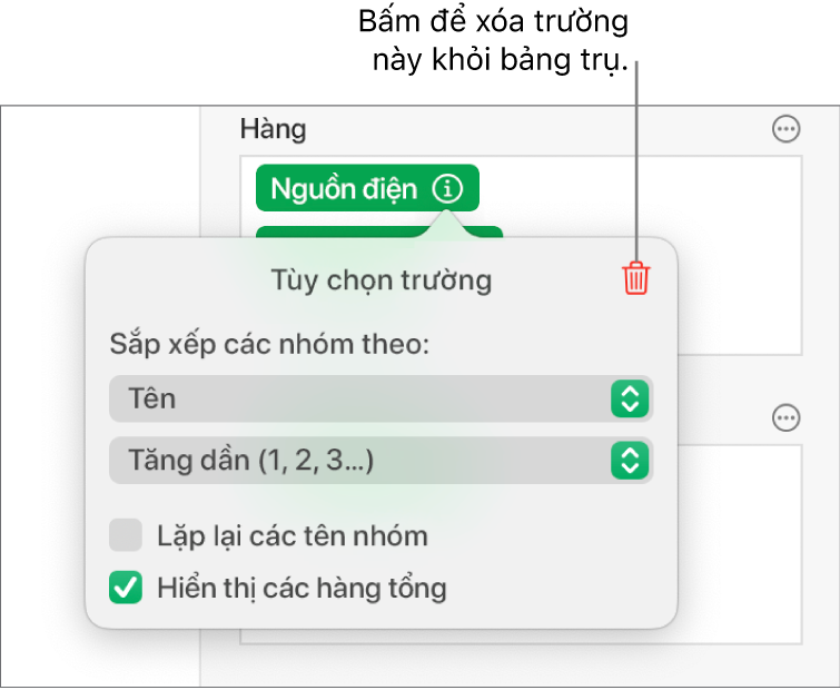 Menu Tùy chọn trường, đang hiển thị các điều khiển để nhóm và sắp xếp dữ liệu cũng như tùy chọn để xóa trường.