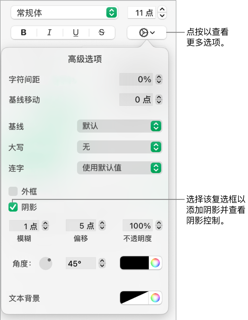 打开的“更多文本选项”菜单包含已选中的“阴影”复选框和用于设定模糊、偏移、不透明度、角度和颜色的控制。