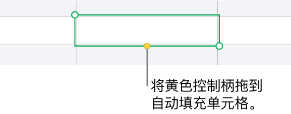 所选单元格带有黄色控制柄，可拖移以自动填充单元格。