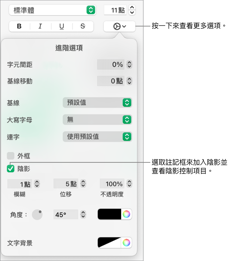 打開「更多文字選項」選單，已選取「陰影」註記框，以及設定模糊、位移、不透明度、角度和顏色的控制項目。