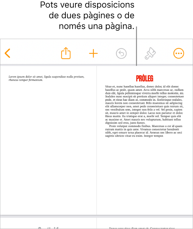 Un document amb una visualització consistent en una disposició de dues pàgines.