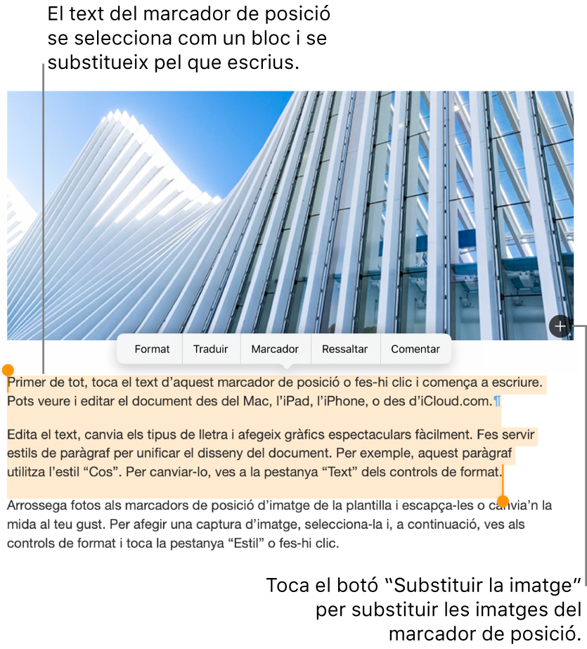 Text i imatges de marcador de posició.