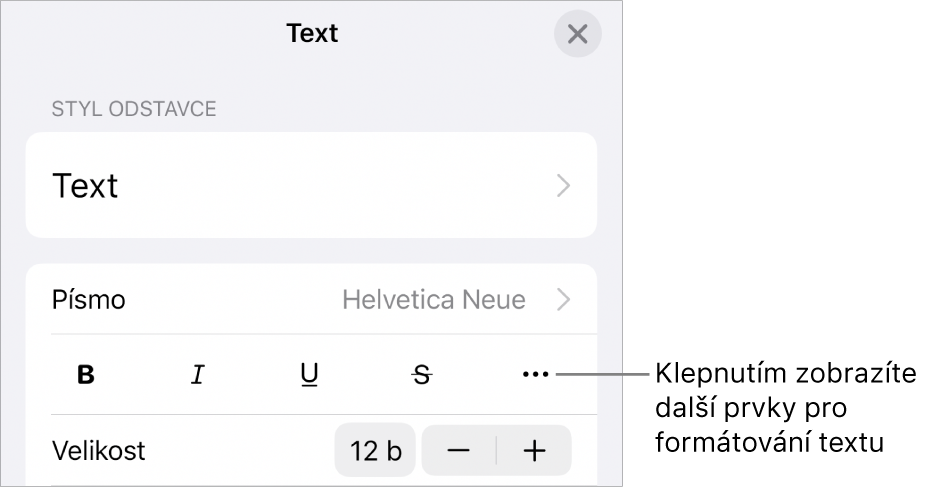 Panel Text v ovládacích prvcích formátování; popiskem je označeno tlačítko Další textové volby